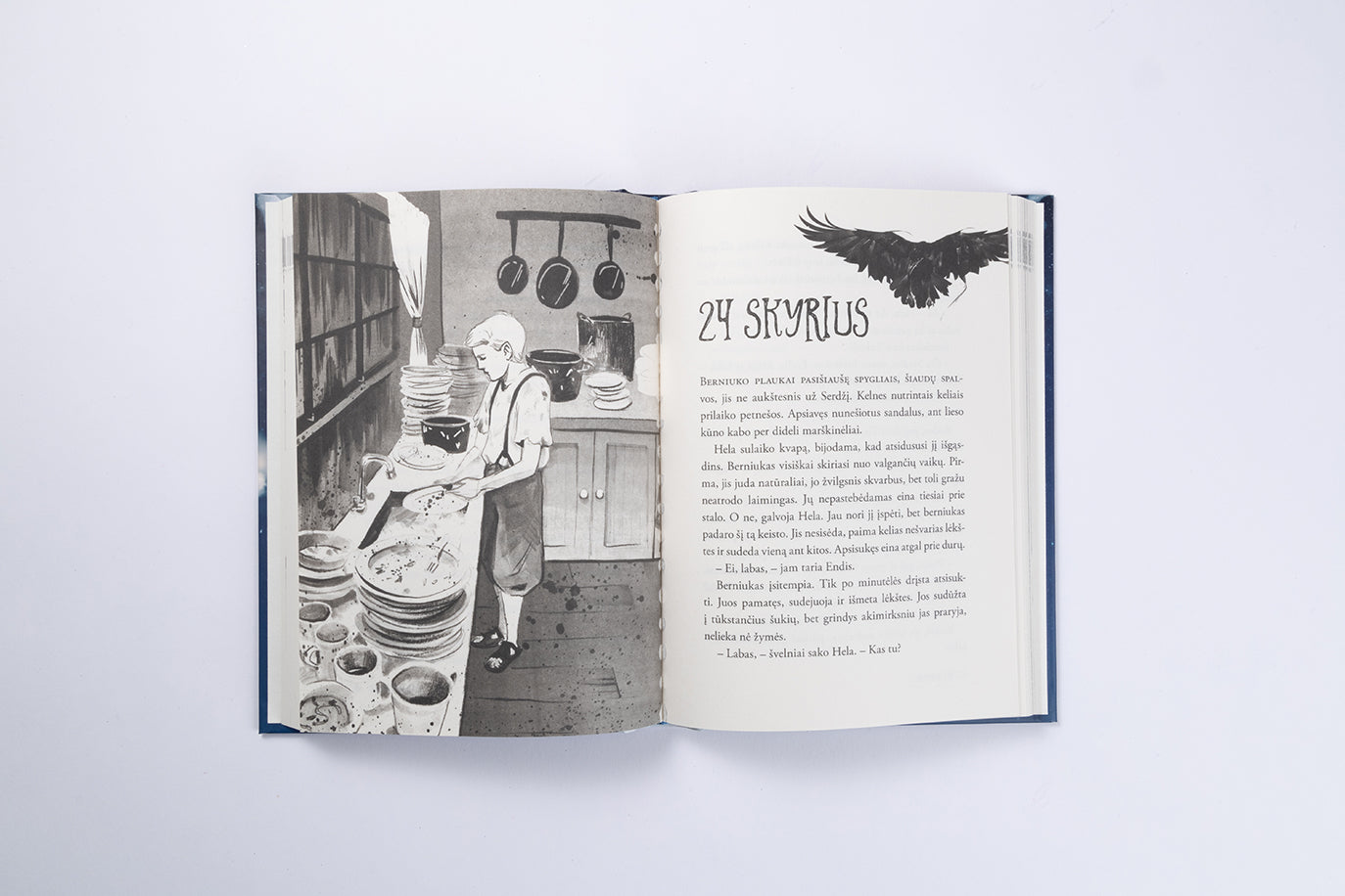 Viešbutis debesyse. Antra knyga