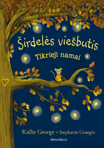 Širdelės viešbutis. Tikrieji namai