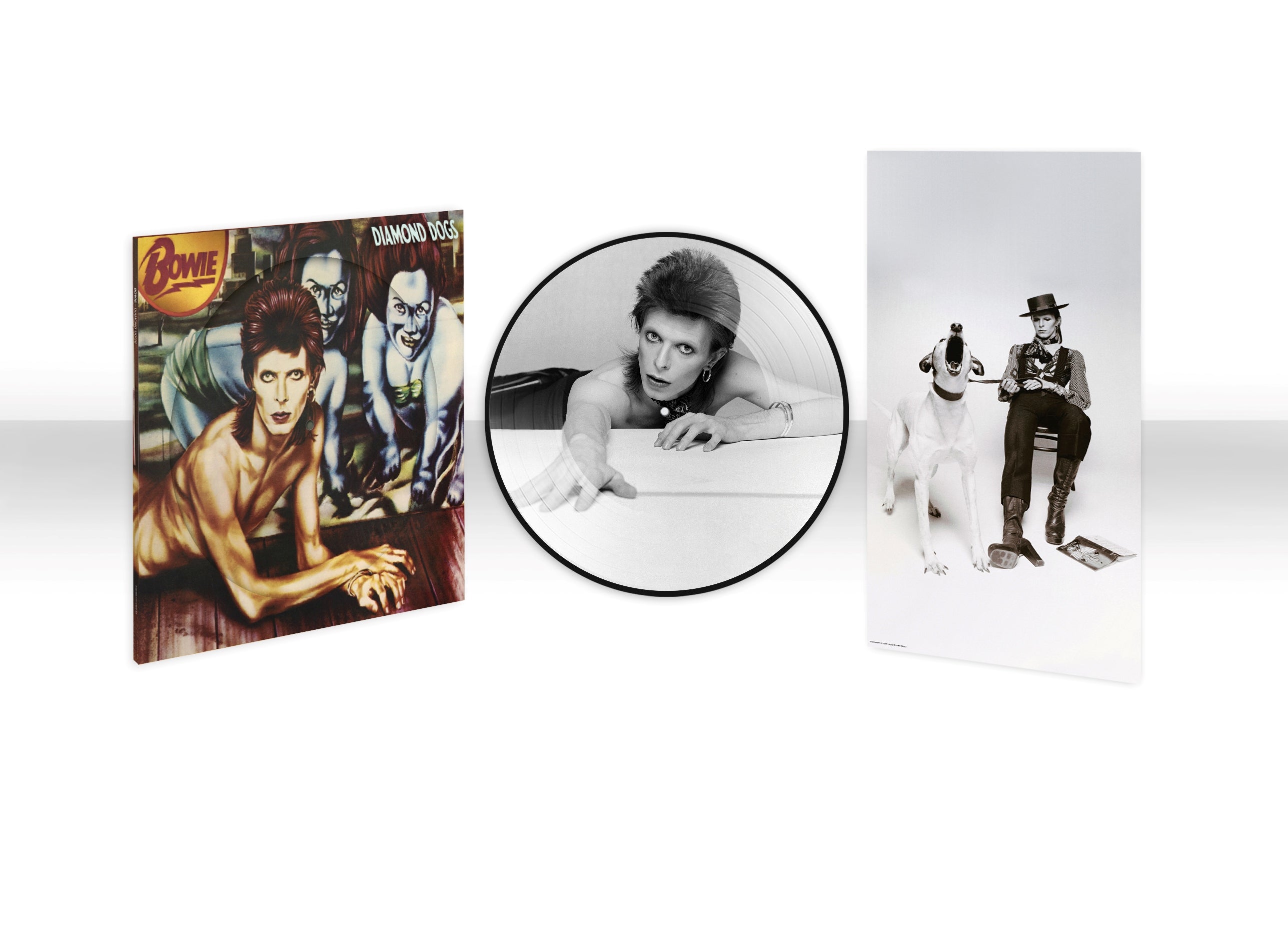 David Bowie: Diamond Dogs Limited picture LP