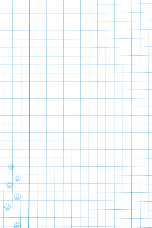 Holly Webb sąsiuvinis TRYS ŠUNIUKAI, 2 kl., langeliais knyga iš Alma Littera