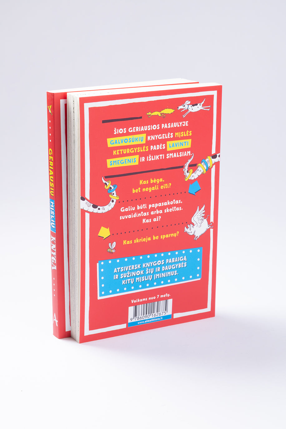 Geriausių mįslių knyga