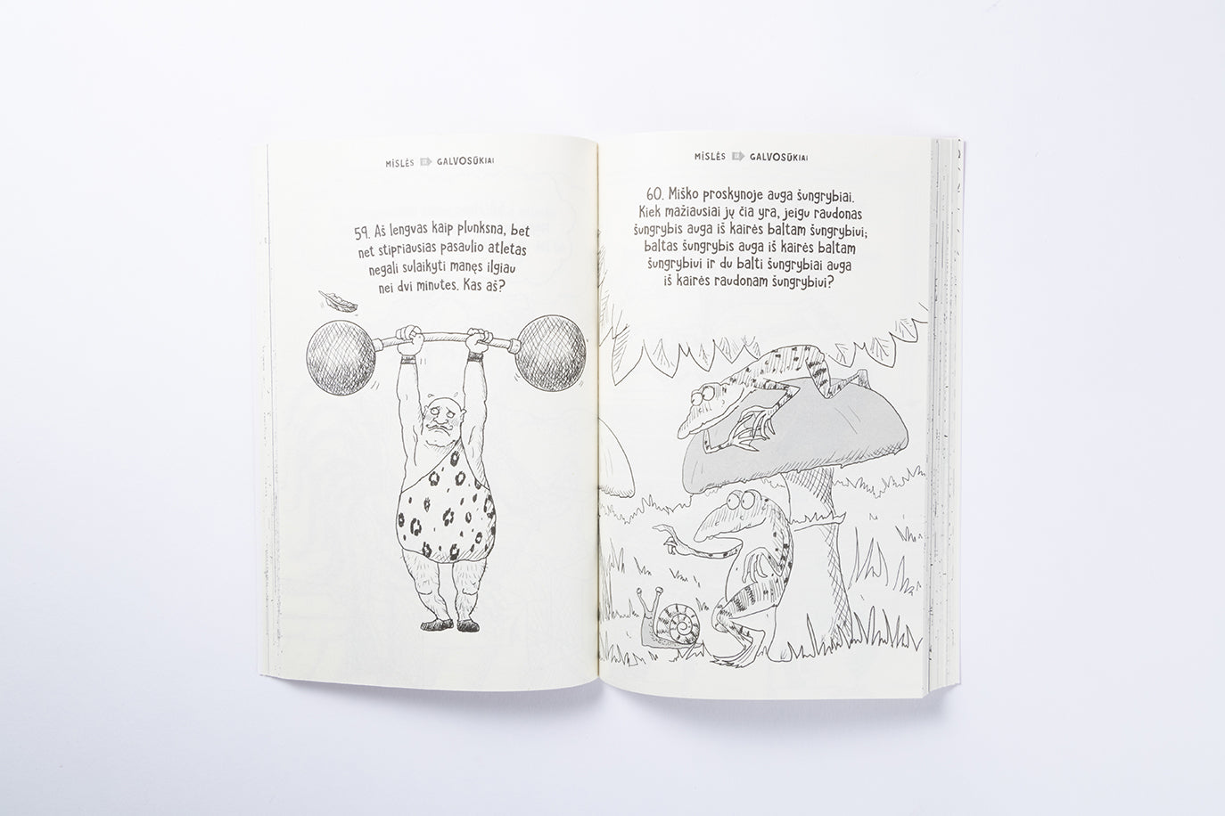 Geriausių mįslių knyga