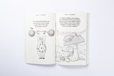 Geriausių mįslių knyga