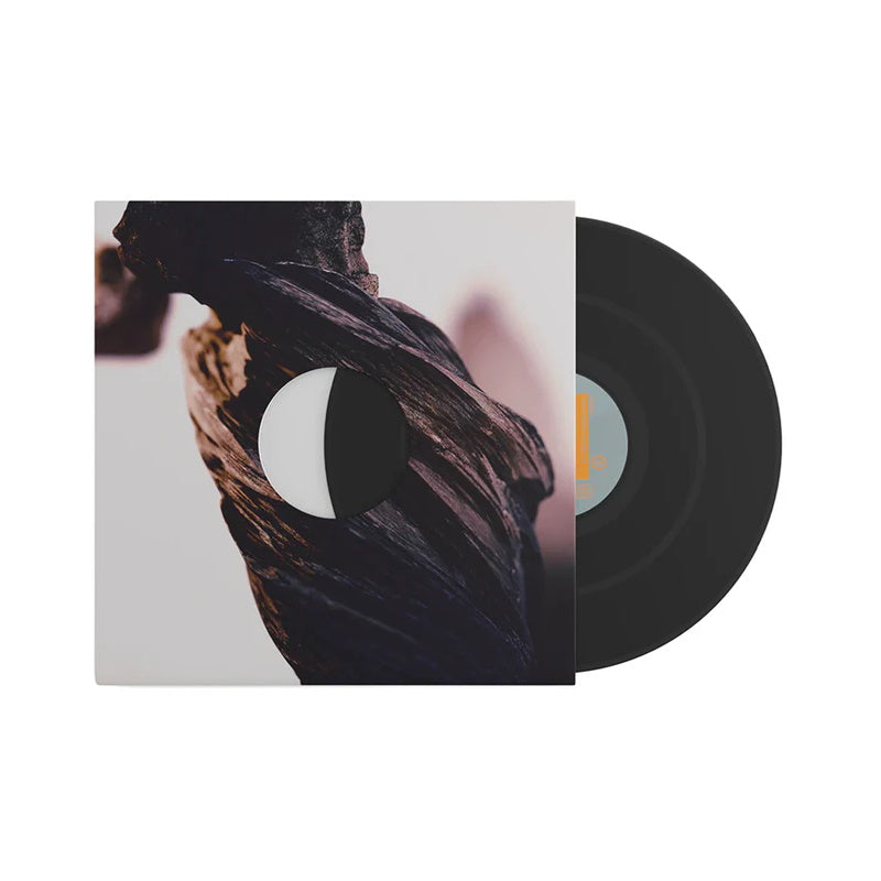 Pixies: The Night the Zombies Came (Black Vinyl) LP