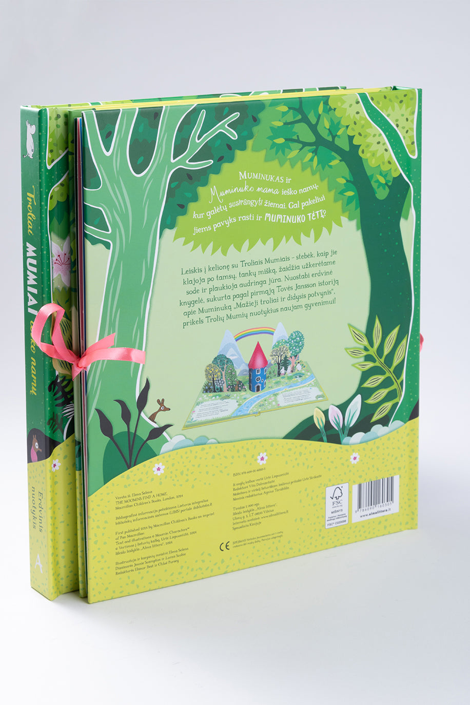 Troliai Mumiai ieško namų. Erdvinė knyga