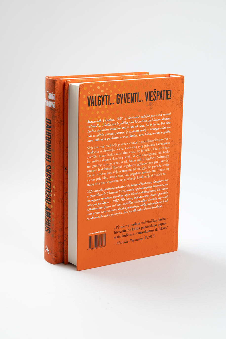 Raudonųjų skruzdžių amžius