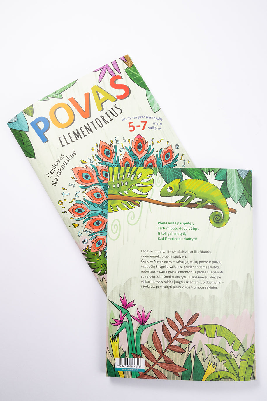 Povas. Elementorius