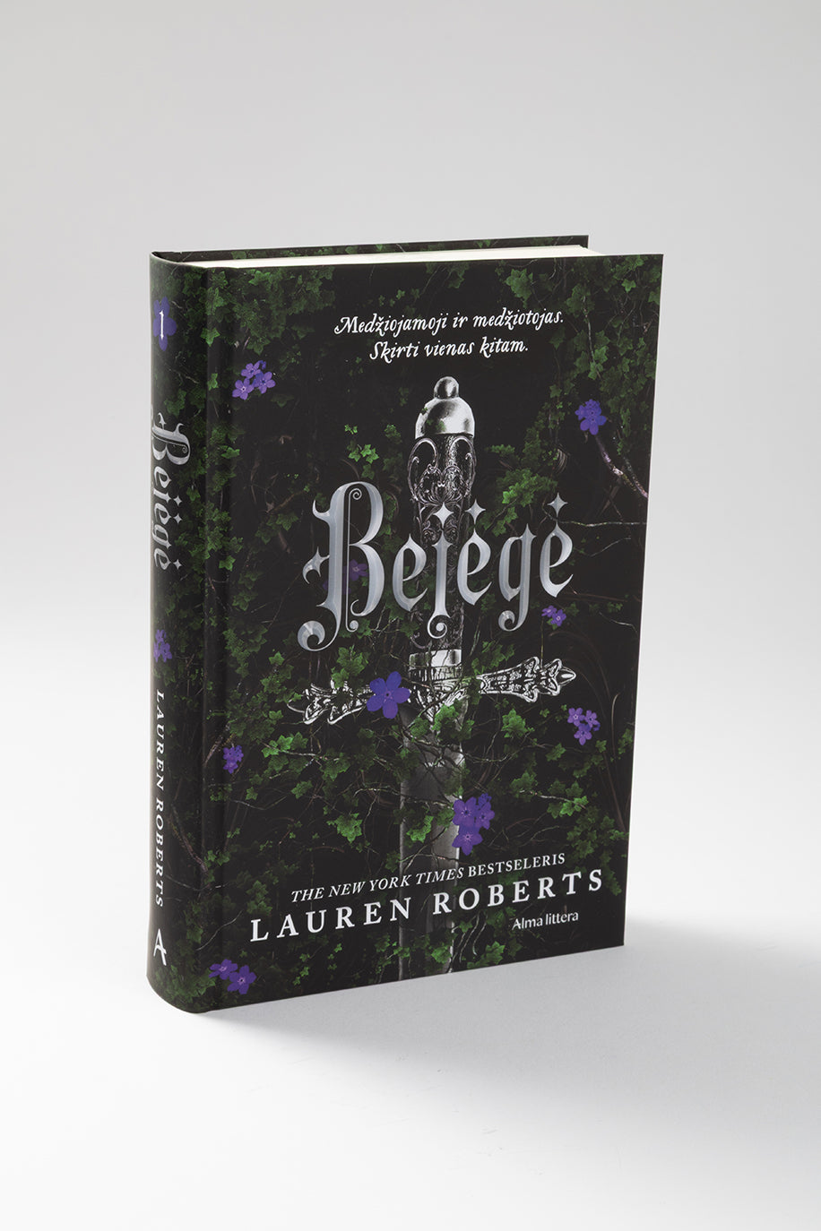 Bejėgė. Pirma knyga