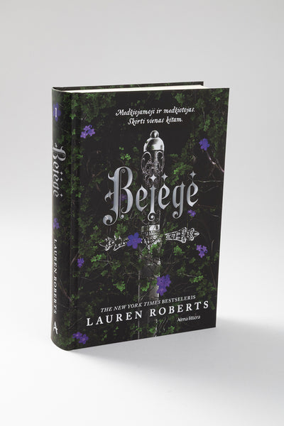 Bejėgė. Pirma knyga