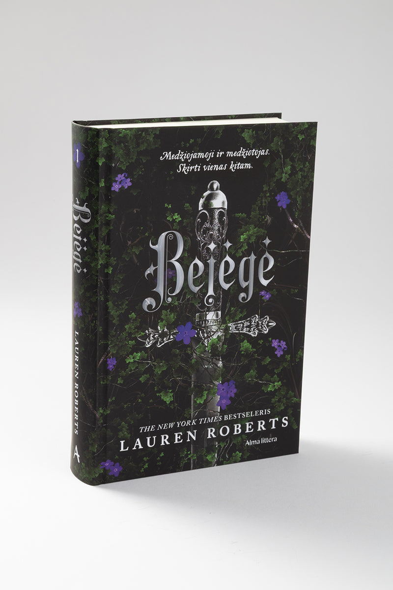 Bejėgė. Pirma knyga