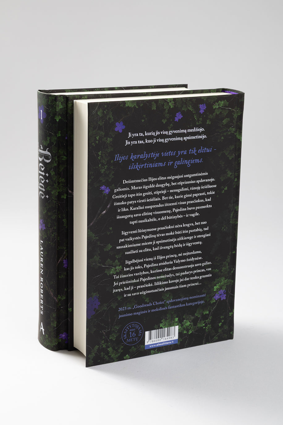 Bejėgė. Pirma knyga