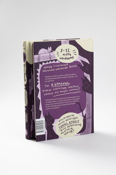 A komanda ir septynios dingusios katės. Ketvirtas nuotykis