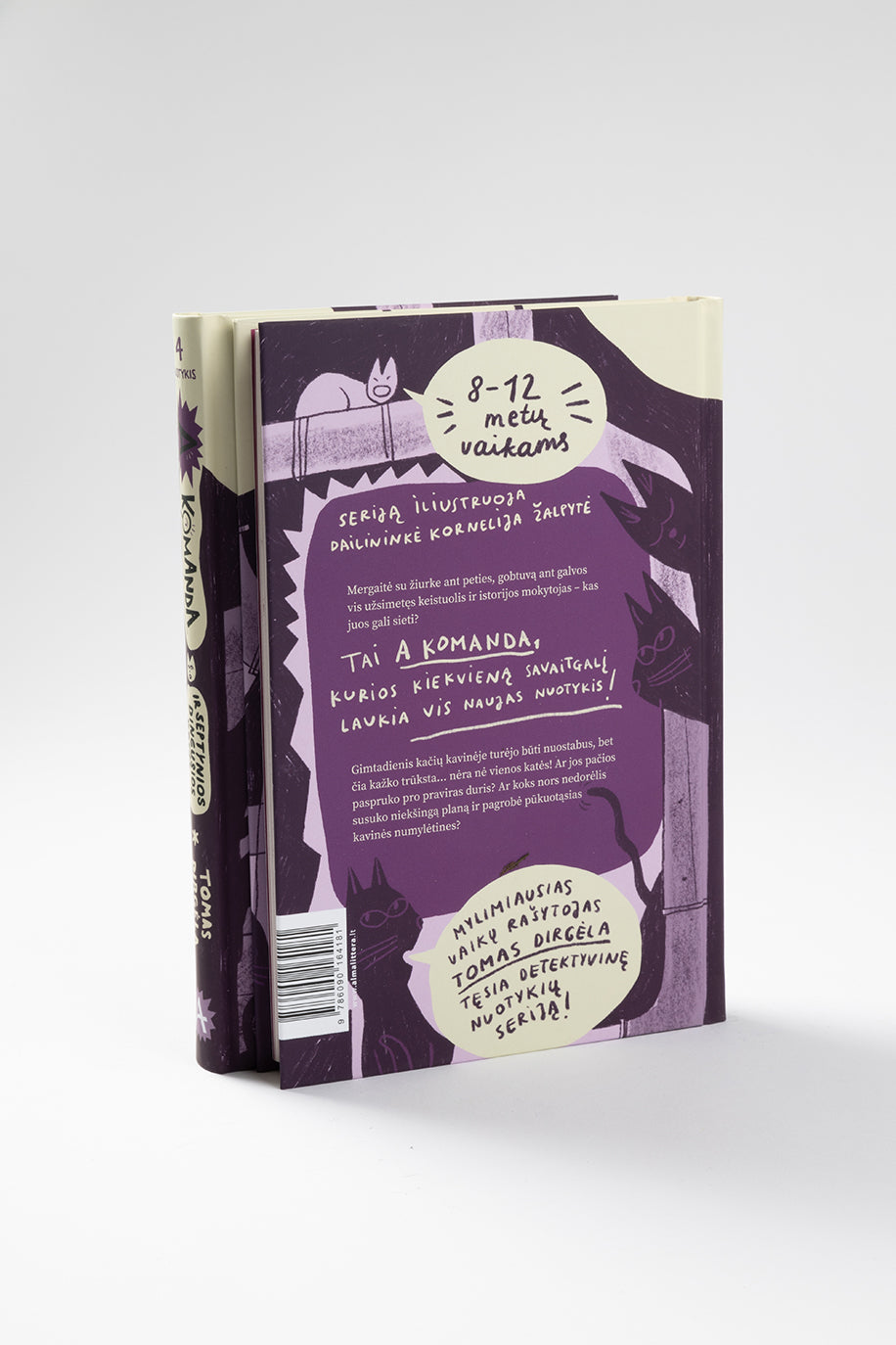 A komanda ir septynios dingusios katės. Ketvirtas nuotykis