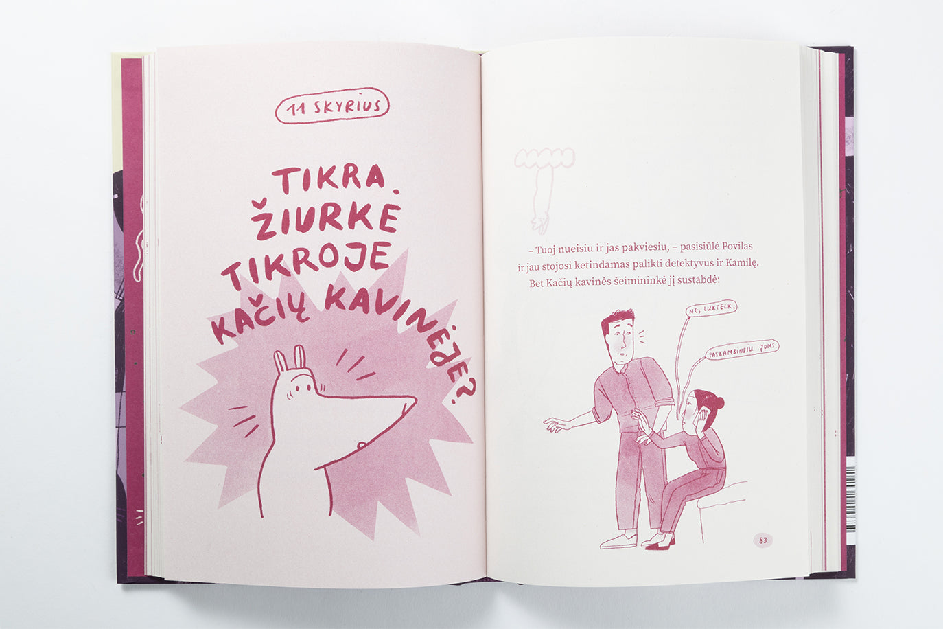 A komanda ir septynios dingusios katės. Ketvirtas nuotykis