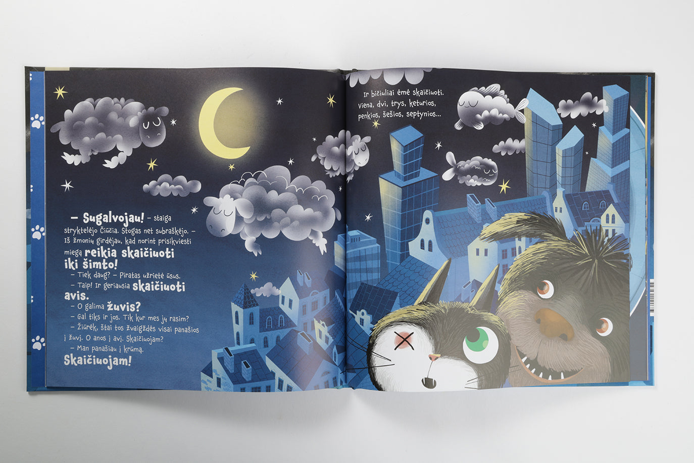 Čiūčia ir Piratas. Dingęs miegas