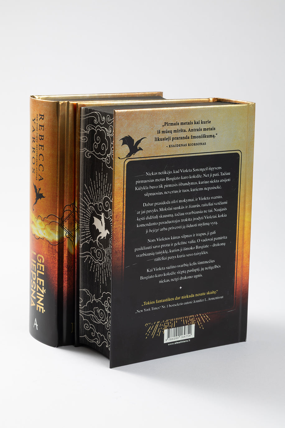 Geležinė liepsna. „Ketvirtojo sparno“ antroji knyga