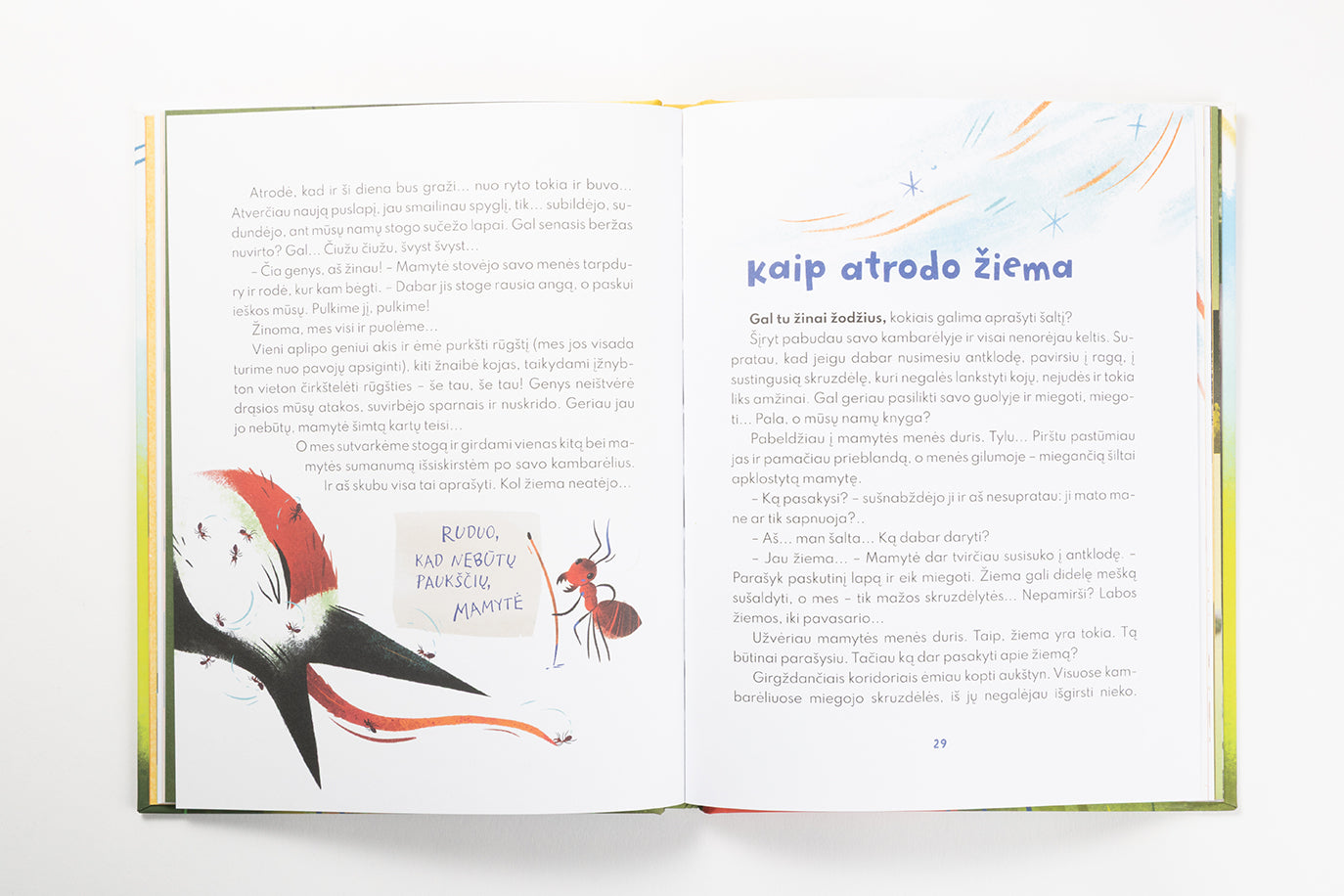 Skruzdėliuko užrašai