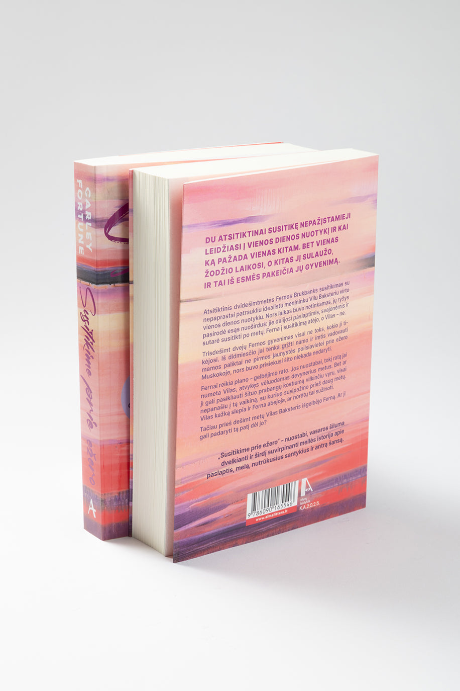 Susitikime prie ežero