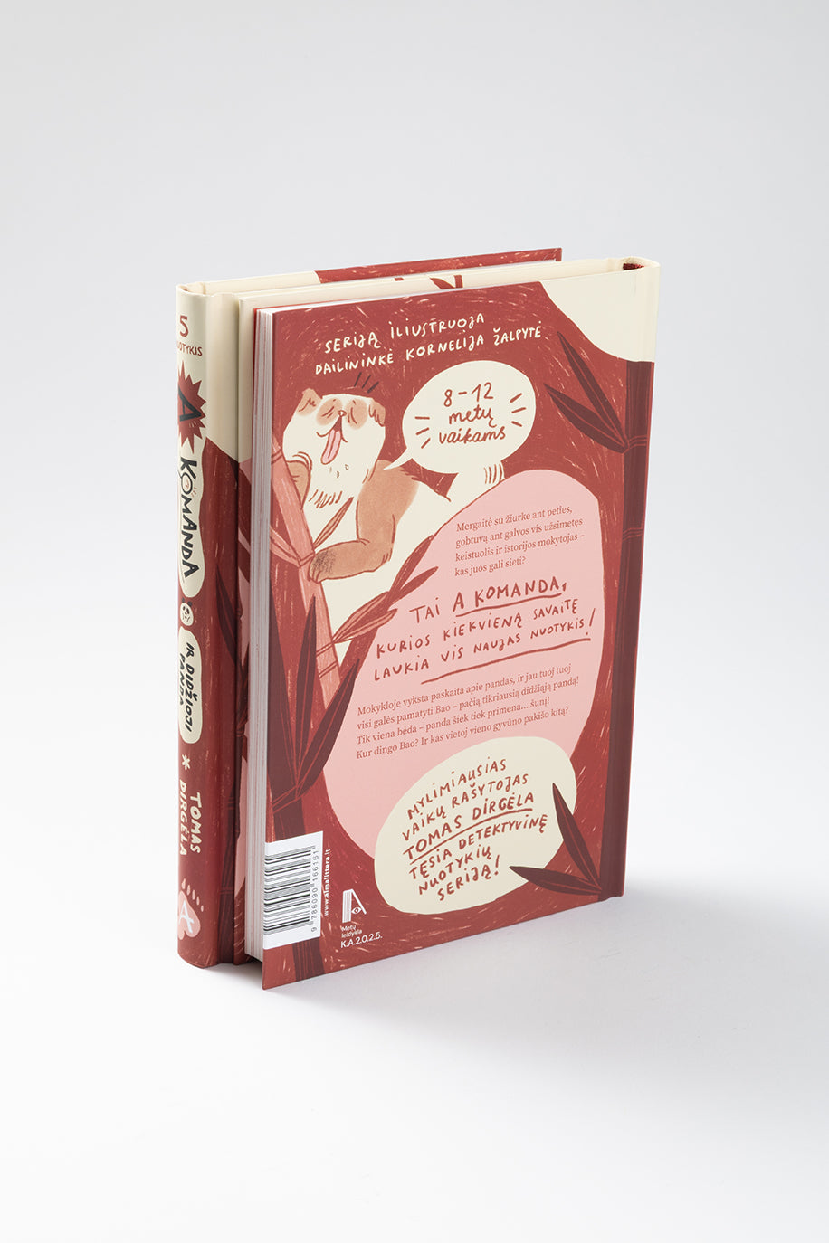 A komanda ir didžioji panda. Penktas nuotykis