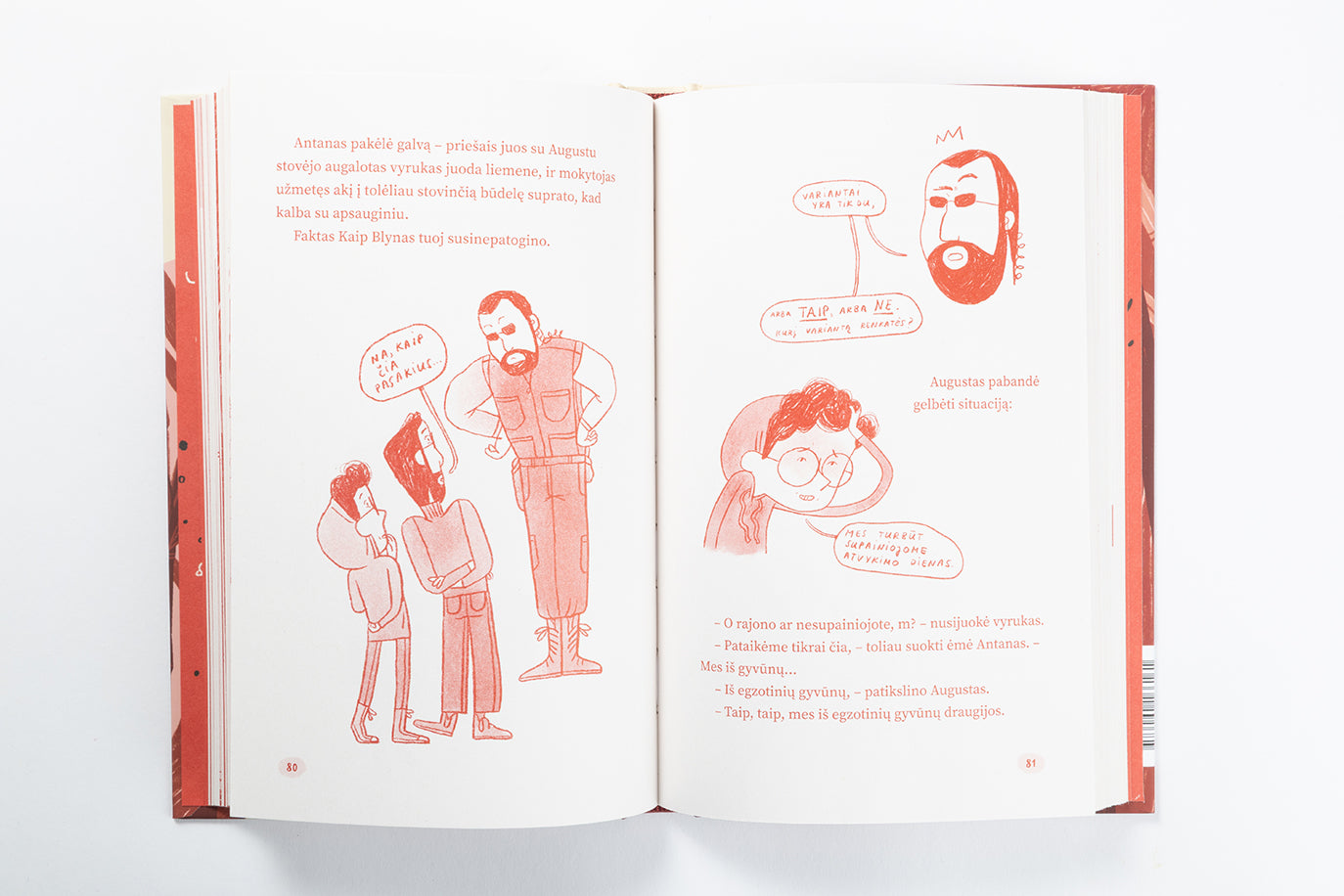 A komanda ir didžioji panda. Penktas nuotykis