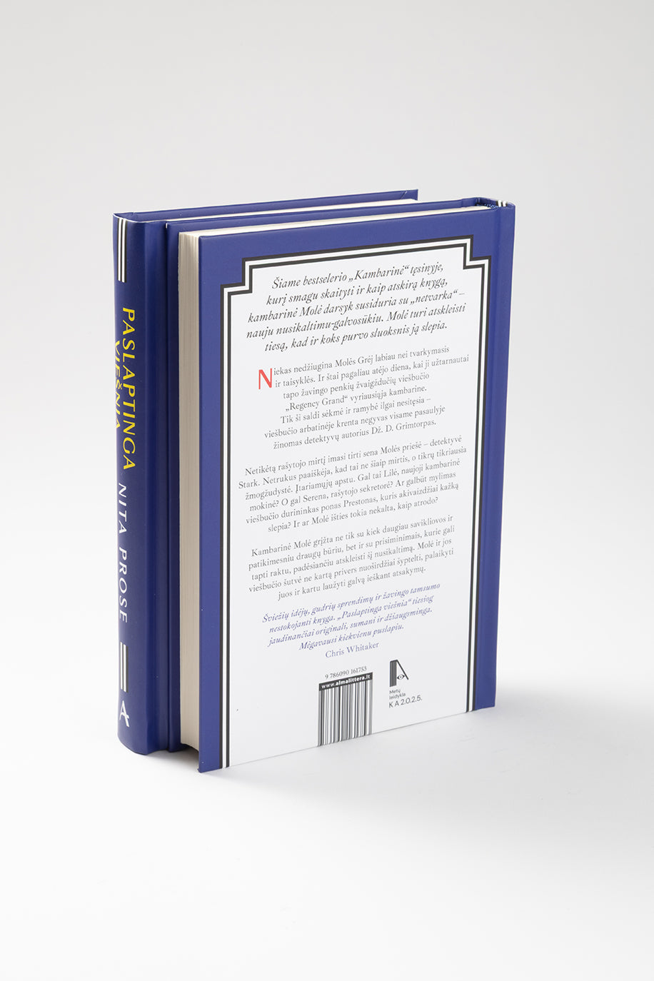 Paslaptinga viešnia