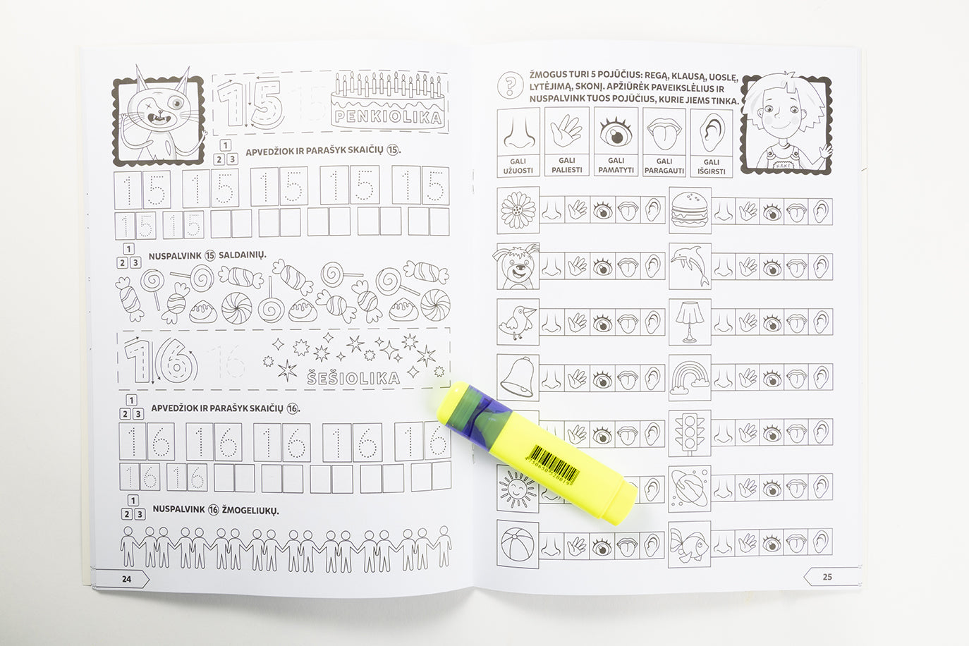 Čiūčia ir Piratas. Ruošiuosi į mokyklą