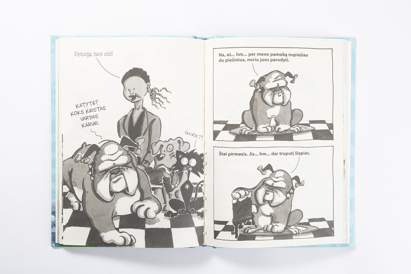 Išdykusi katytė. Bloga diena mokykloje