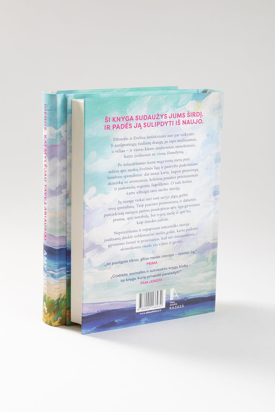 Dienos, kai mylėjau tave labiausiai