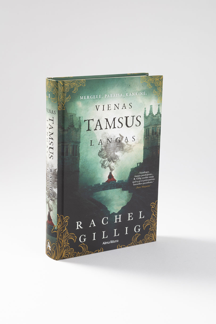 Vienas tamsus langas. Pirma knyga