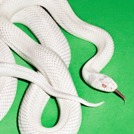 Deftones: private music  LP