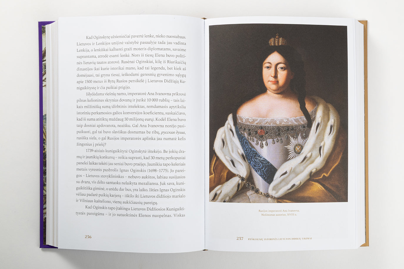 Ambicingos ir įtakingos. Ryškiausių istorinės Lietuvos didikių likimai