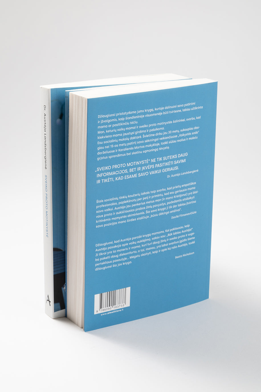 Sveiko proto motinystė