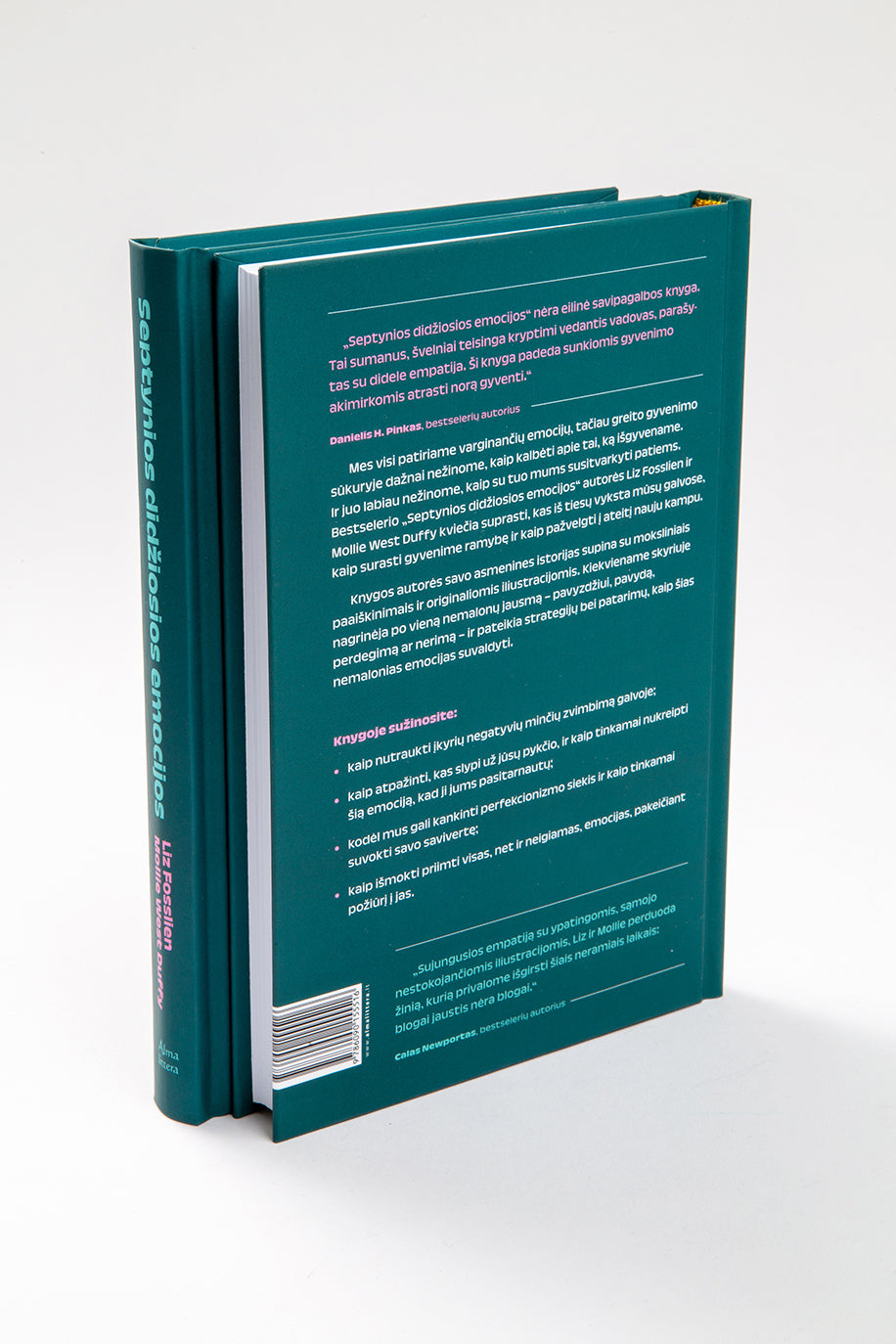 Septynios didžiosios emocijos