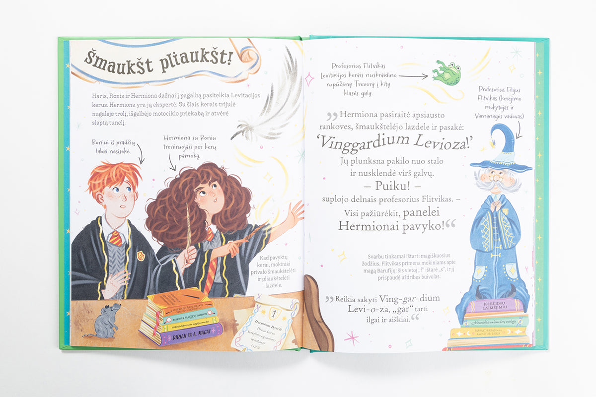 Hermiona Įkyrėlė. Pocket Potters. Kišeniniai J. K. Rowling istorijų žinynai