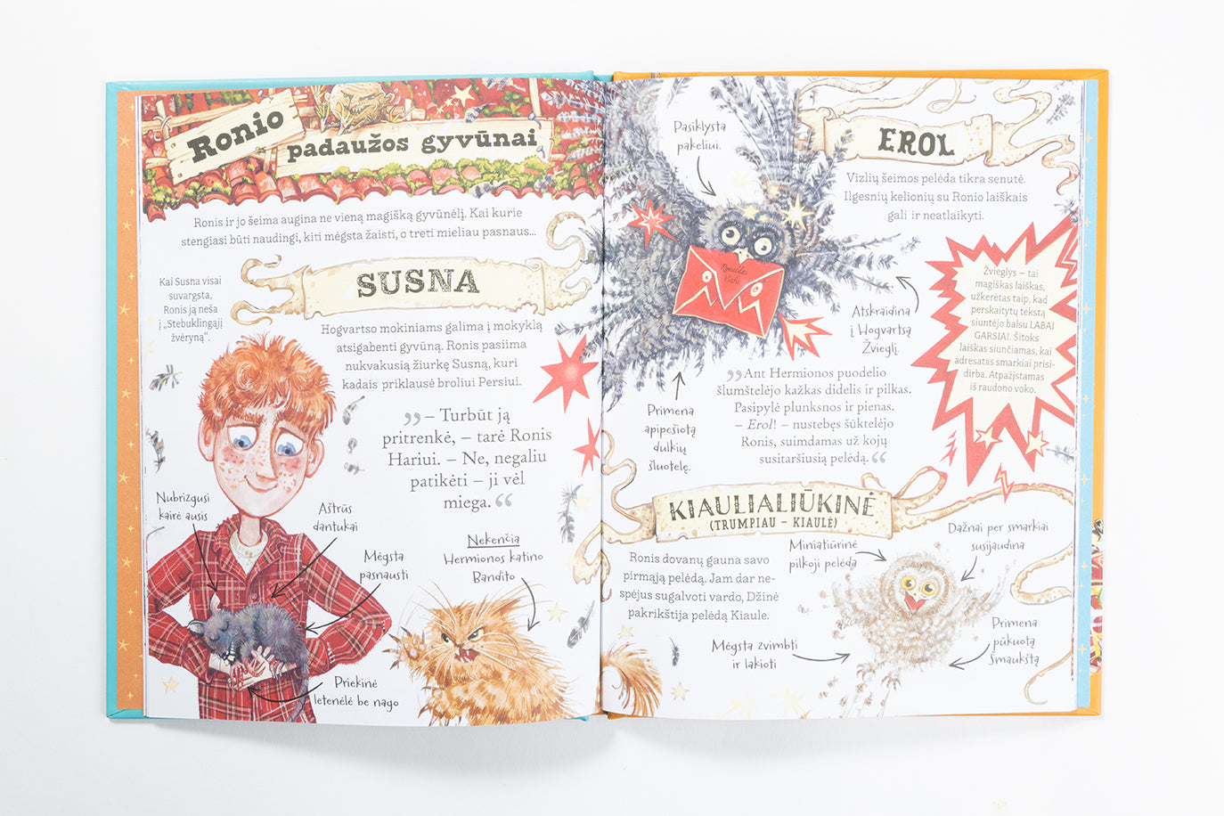 Ronis Vizlis. Pocket Potters. Kišeniniai J. K. Rowling istorijų žinynai