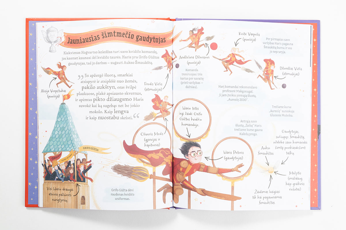 Haris Poteris. Pocket Potters. Kišeniniai J. K. Rowling istorijų žinynai