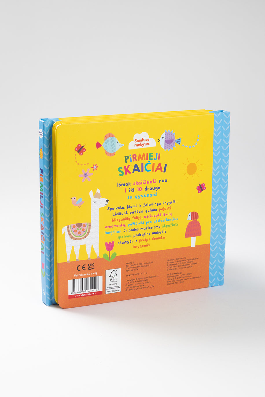 Smalsios rankytės. Pirmieji skaičiai