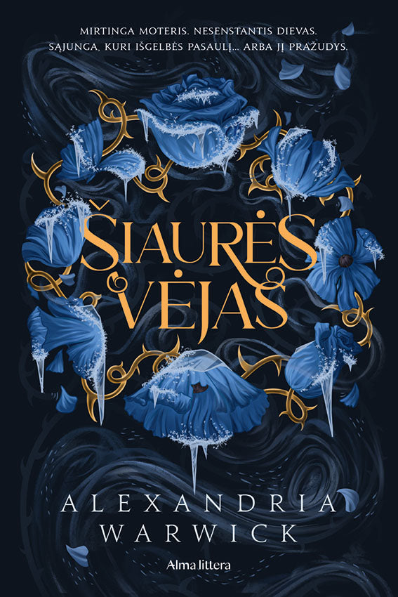 Šiaurės vėjas