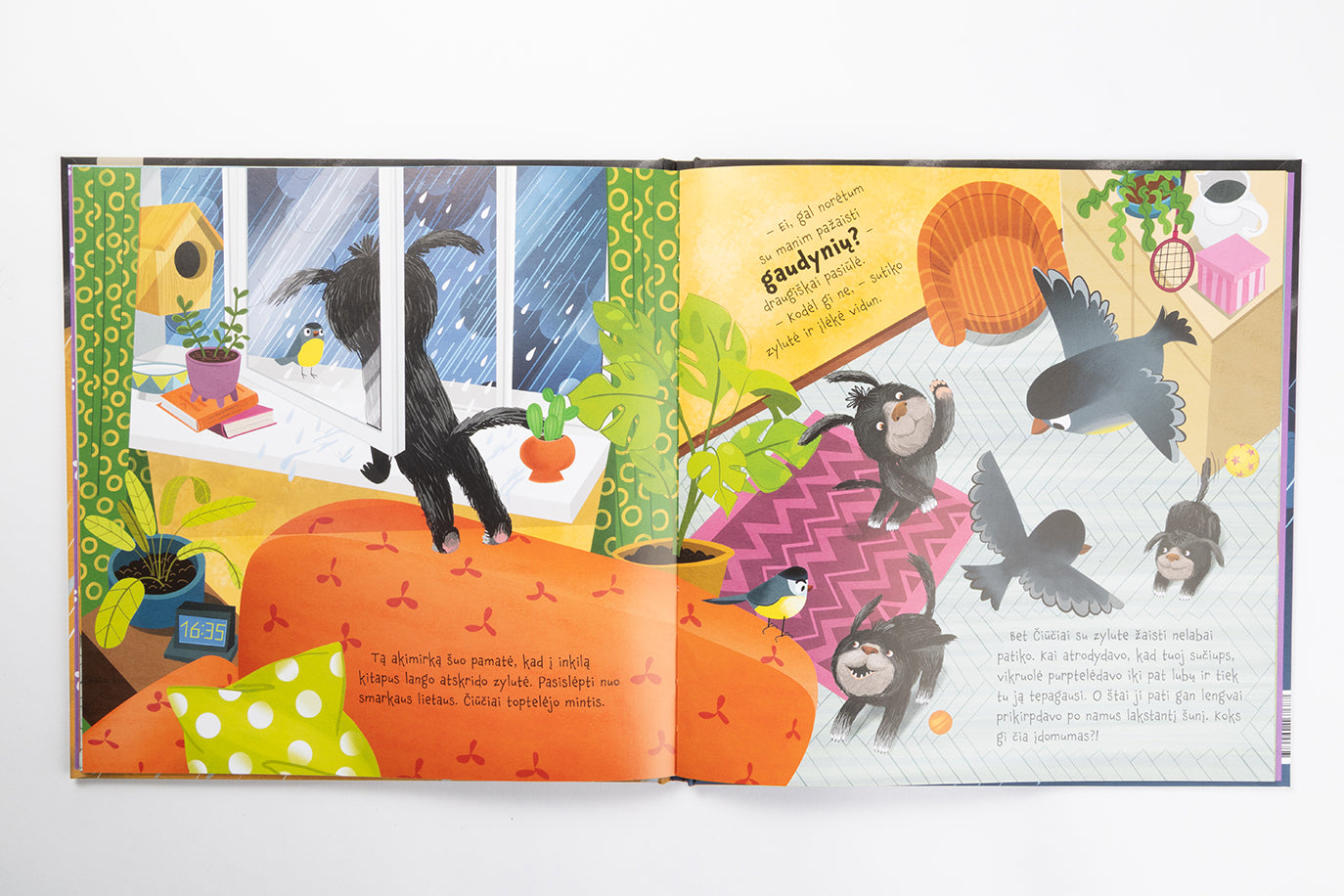 Čiūčia ir Piratas. Geriausias žaidimas