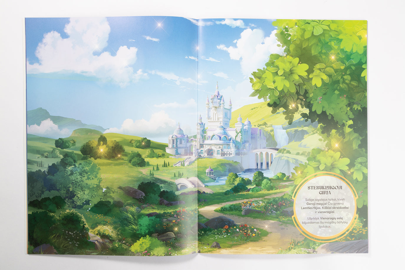 Vienaragių akademija. Užduočių knyga su lipdukais