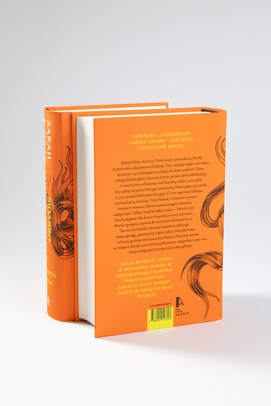 Sidabro liepsnų dvaras. Ketvirta knyga