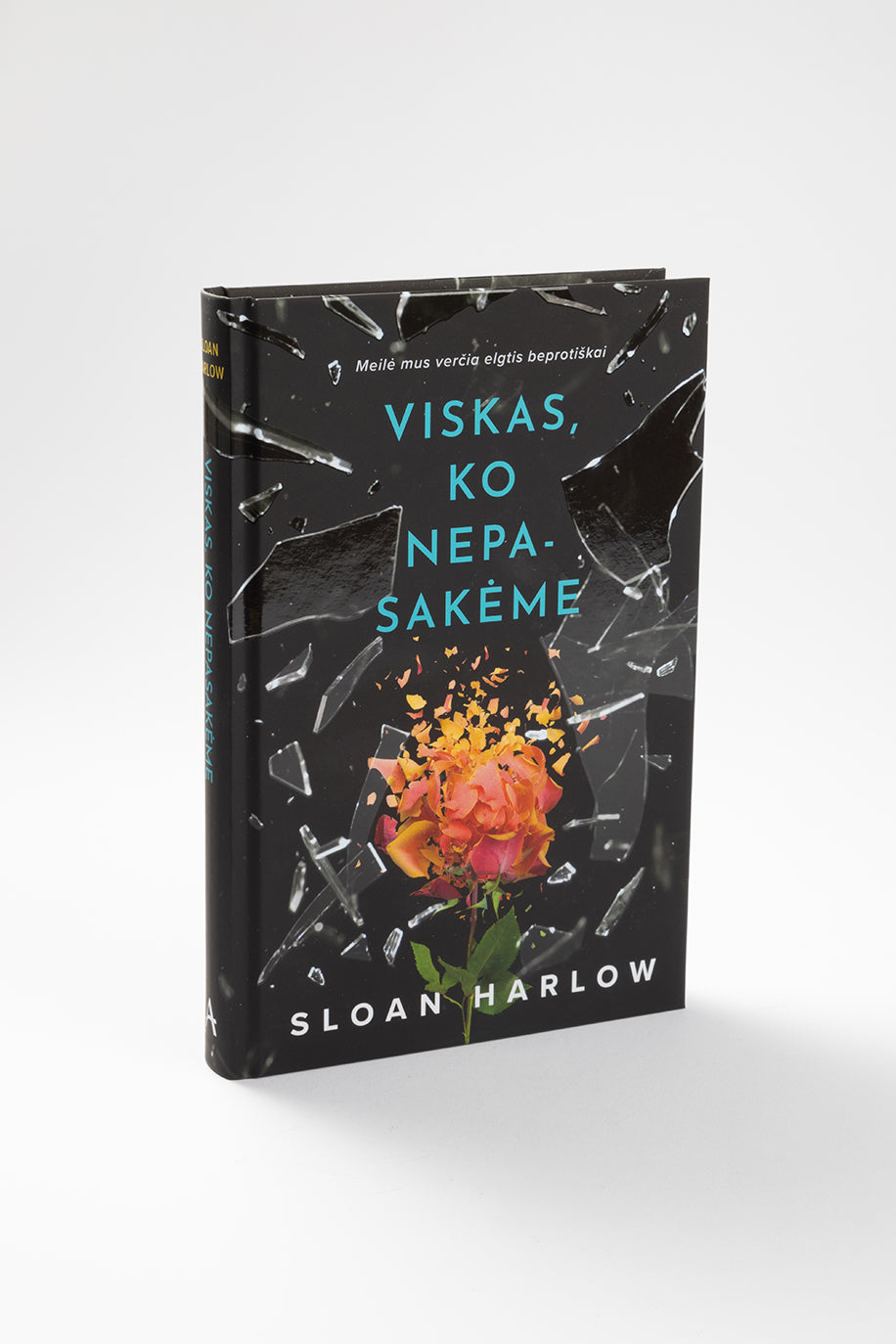 Viskas, ko nepasakėme