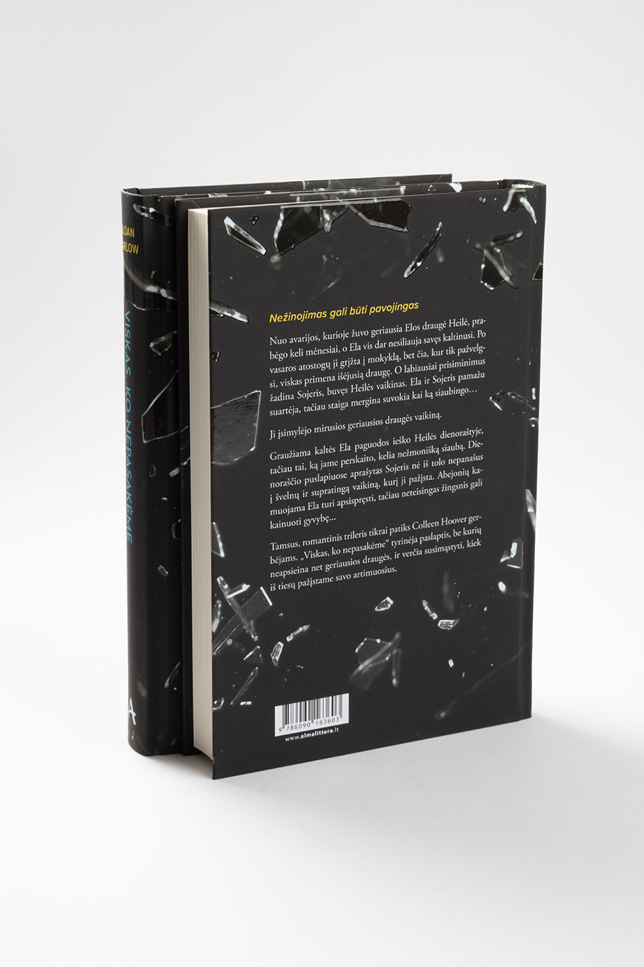 Viskas, ko nepasakėme