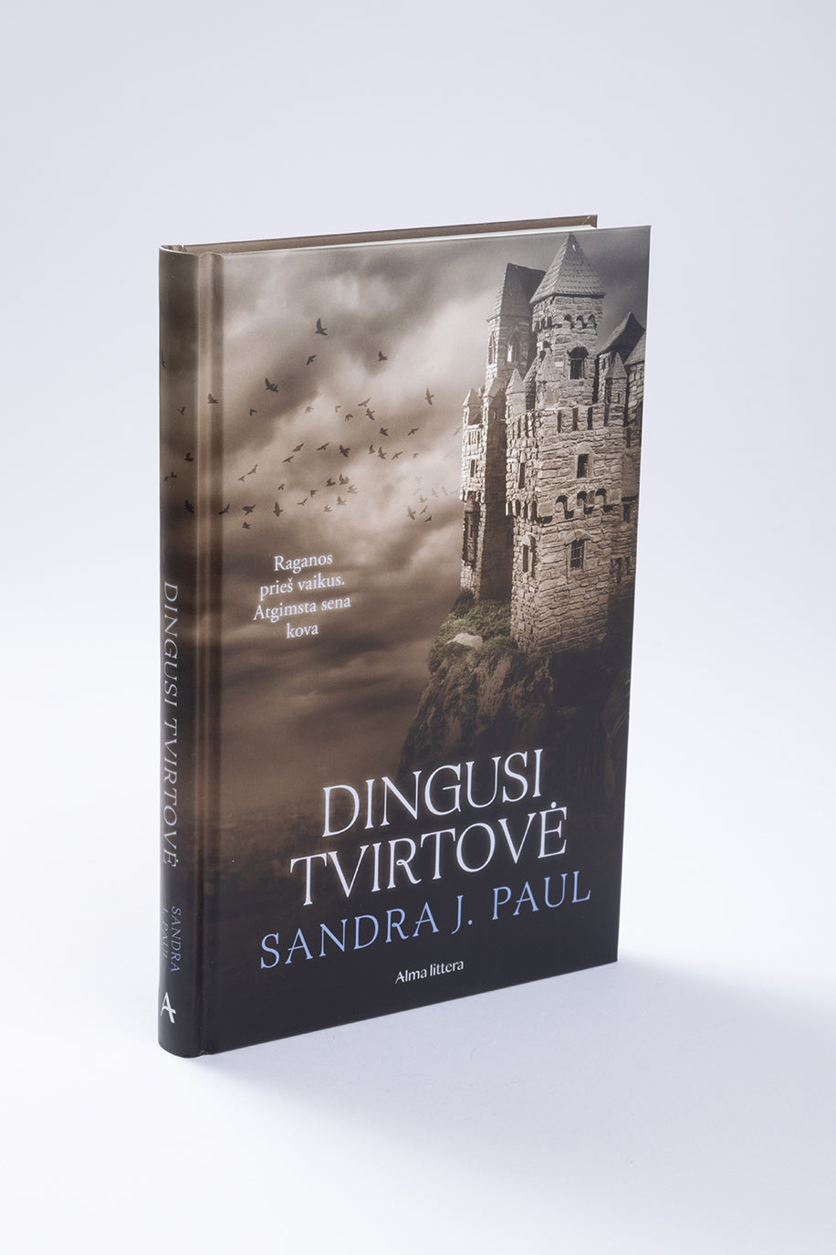 Dingusi tvirtovė. Ketvirtoji serijos „Varnų kaimas“ knyga