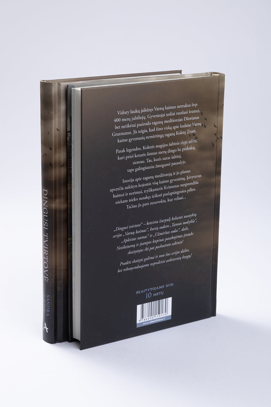 Dingusi tvirtovė. Ketvirtoji serijos „Varnų kaimas“ knyga