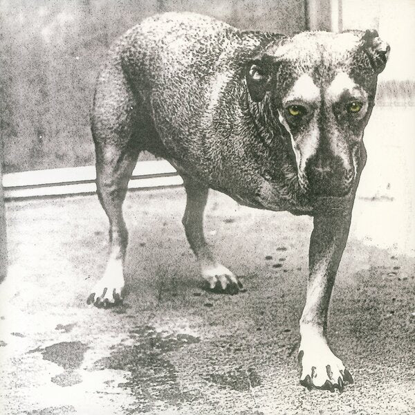 Alice In Chains: Alice In Chains (Highlighter Yellow Vinyl) 2LP