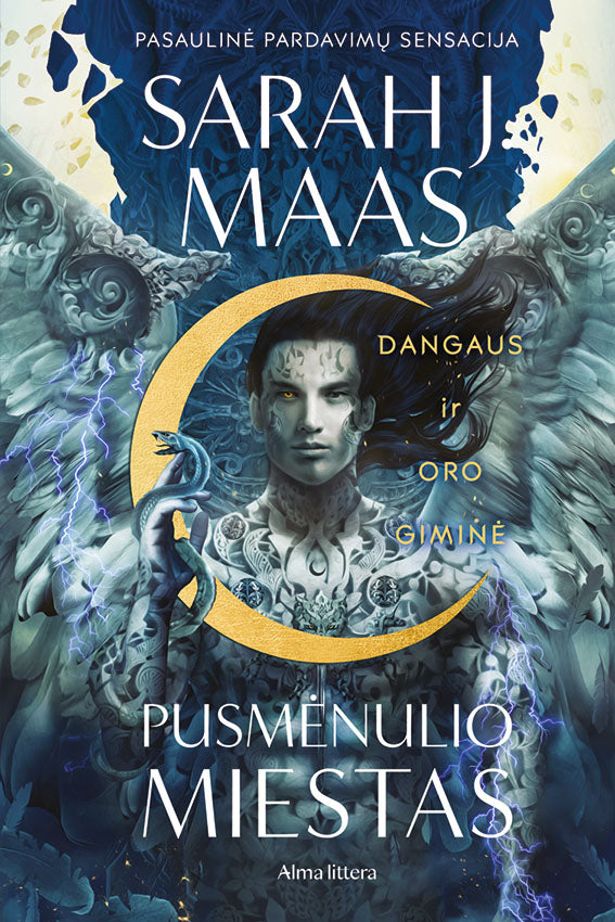 Dangaus ir oro giminė. Ciklo „Pusmėnulio miestas“ antra knyga
