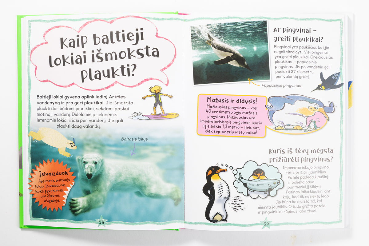 Kaip smalsu! Klausimai ir atsakymai