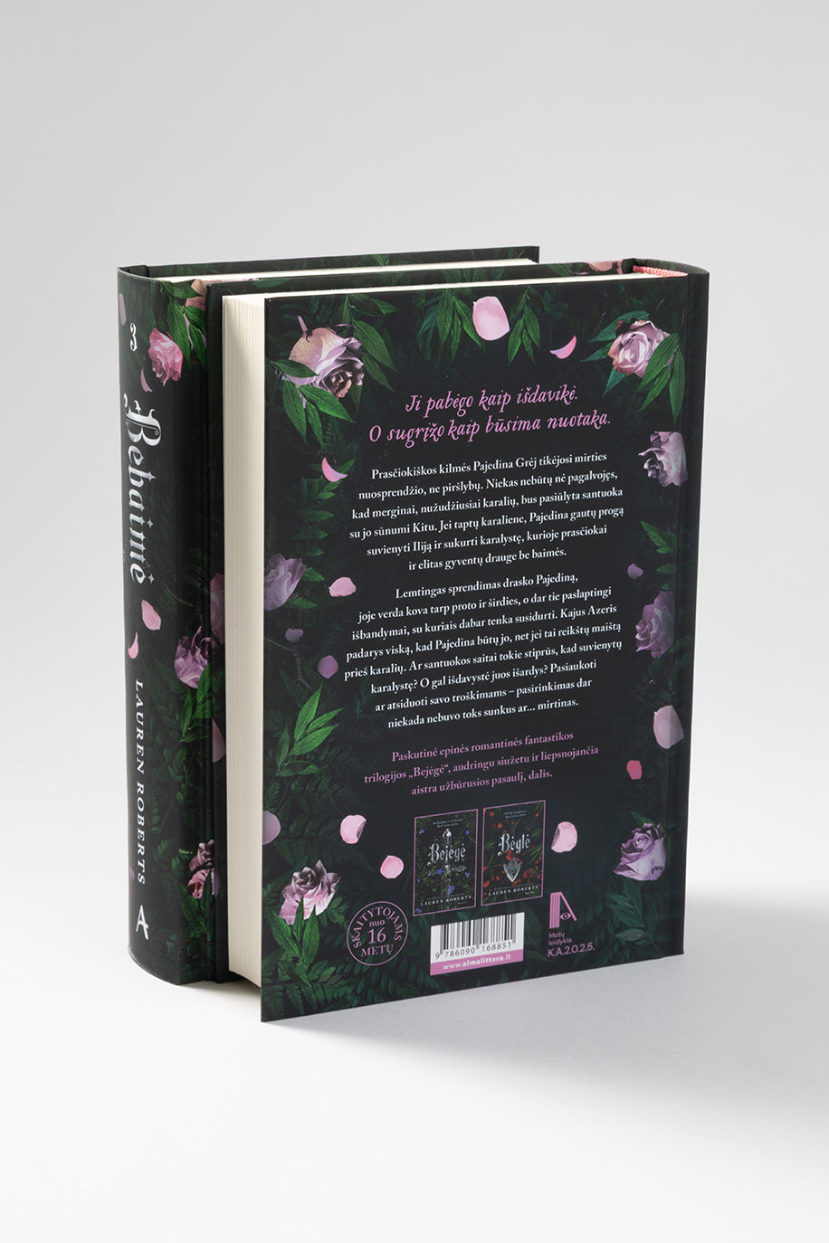 Bebaimė. Serijos „Bejėgė“ trečia knyga