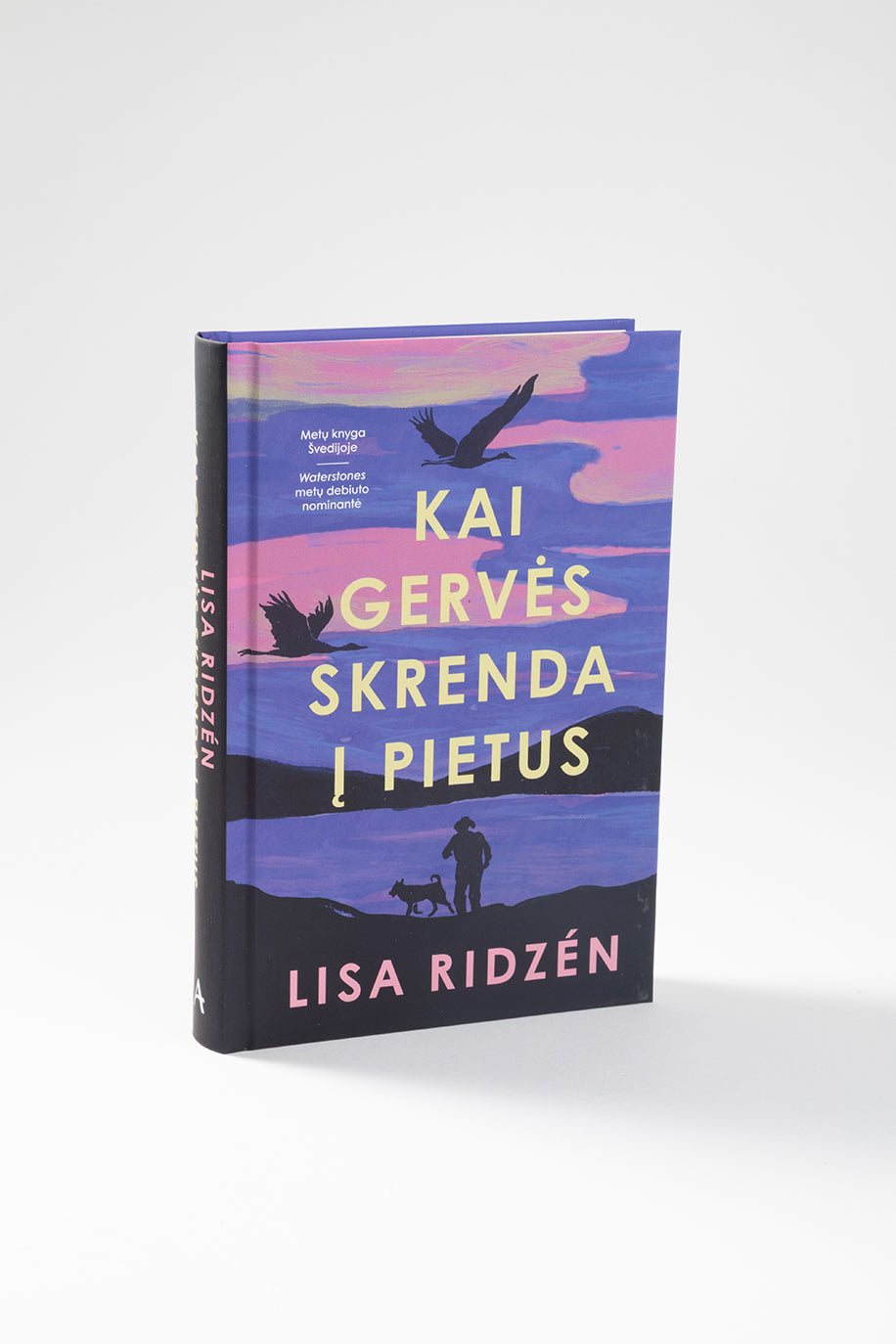 Kai gervės skrenda į pietus